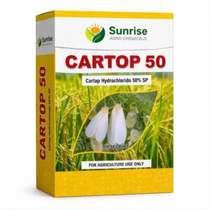 Cartop 50