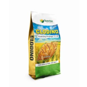 Clodino