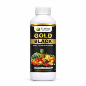 Gold Black