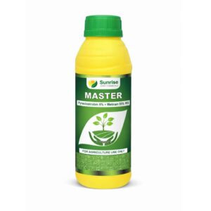 Master