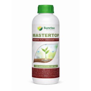 Master Top