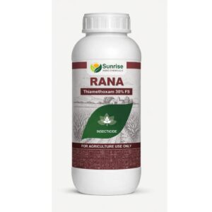 Rana