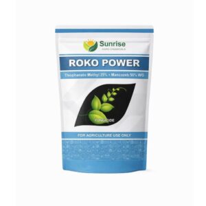 Roko Power