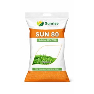 Sun 80