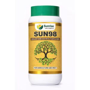 Sun 98