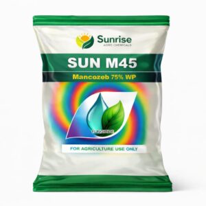 Sun M45