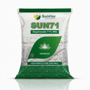 Sun71
