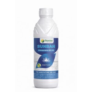 Sunban