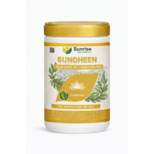 Sundheen