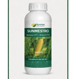 Sunmestro