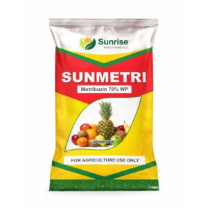 Sunmetri