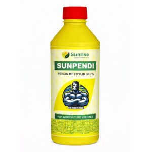 Sunpendi
