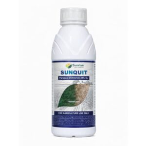 Sunquit
