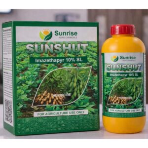 Sunshut