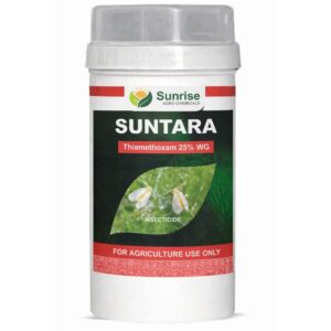 Suntara