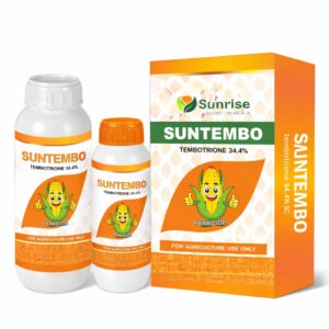 Suntembo