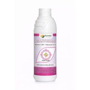 Sunthora