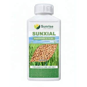 Sunxial