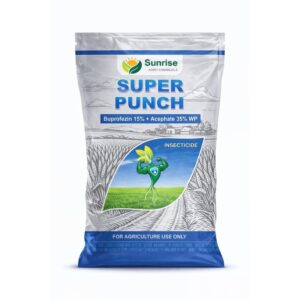 Super Punch